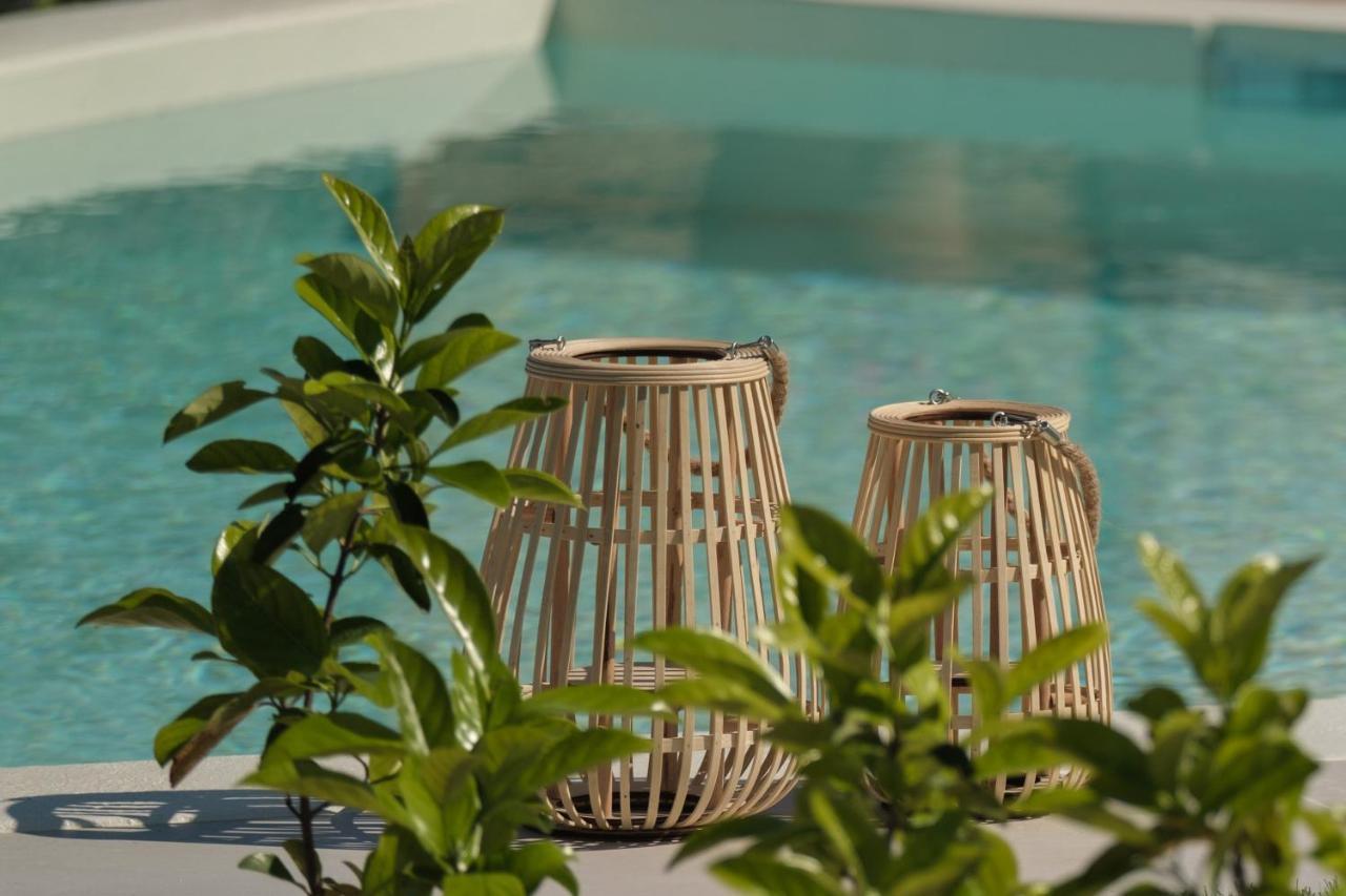 Koukoutsa House With Swimming Pool Corfu Sokraki Villa Sokrákion Dış mekan fotoğraf